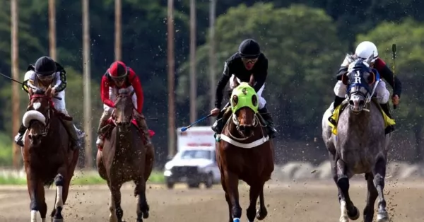 Mueren dos caballos tras una carrera en San Francisco e investigan las causas