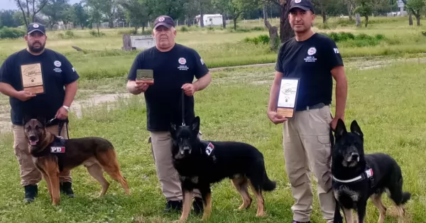 Perros de la PDI de Santa Fe salieron campeones argentinos en una competencia de canes de servicio