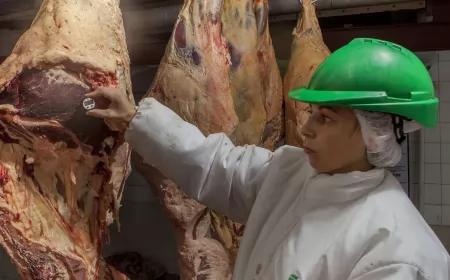  Pymes respaldaron el cepo a la exportación de carne 