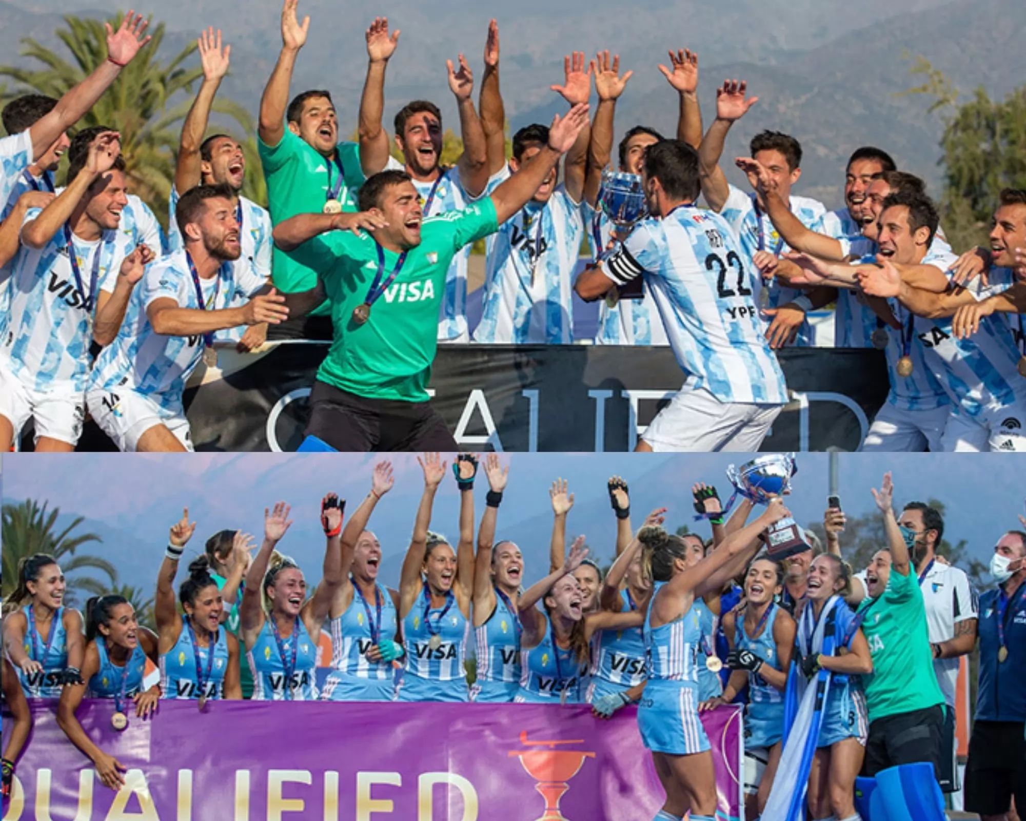 Leonas y Leones se consagraron en la Copa Panamericana de Chile 