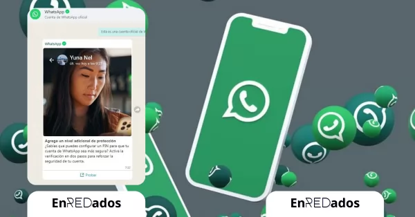 El Chat oficial de Whatsapp que brinda información y tutoriales