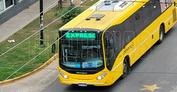 Reclaman que colectivos de Rosario Bus dejan varados por un trasbordo a alumnos de la Escuela Técnica 477