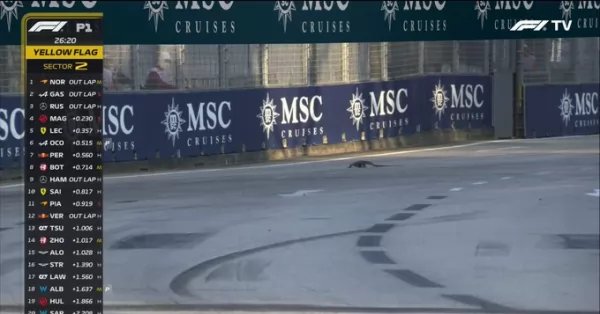 Las iguanas se colan en la Fórmula 1 en Singapur 