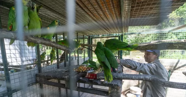 Santa Fe: Nuevas especies serán reinsertadas en su habitat natural