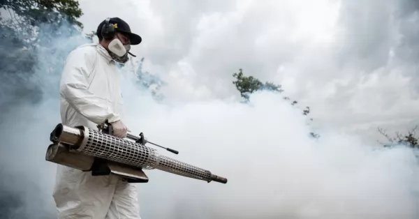 Situación epidemiológica en Santa Fe: se confirmaron casi 700 casos de dengue durante la última semana