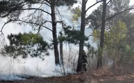 Importante incendio forestal en la zona del dique de Pueblo Andino 