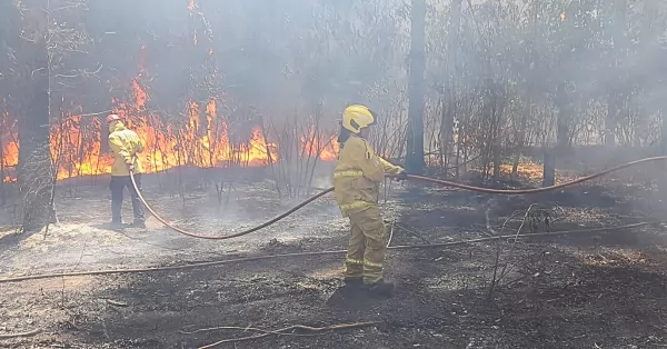 Bermúdez: bomberos combaten un importante incendio en el monte de Celulosa 