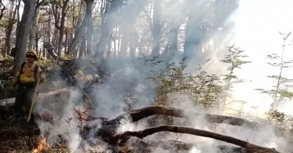 Se encuentran controlados los incendios en los parques nacionales Los Alerces y Nahuel Huapi
