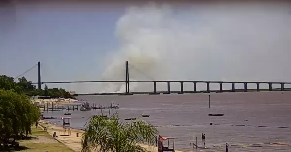 Importante incendio en la Isla de los Mástiles frente a Granadero Baigorria