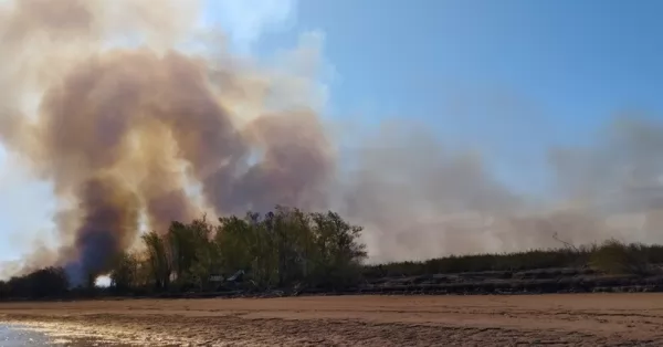 Quemas en las islas: detuvieron a un hombre con bidones de nafta por iniciar un incendio 