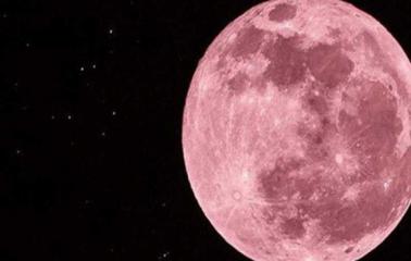 Luna rosa: ¿Qué es, cómo y cuándo se la podrá ver en Argentina?