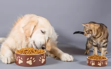 Cómo almacenar de forma adecuada los alimentos de nuestras mascotas