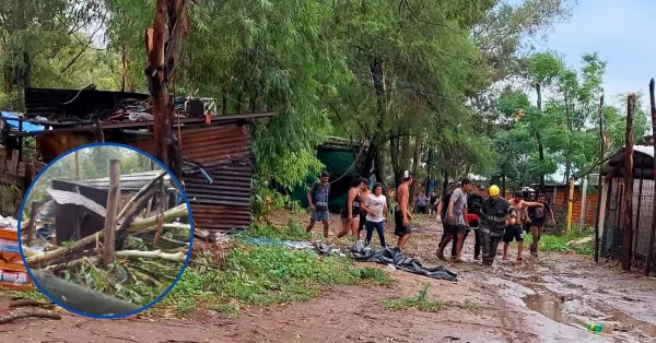 Lanzaron una colecta para los niños a los que un árbol se les cayó sobre su cama en Bermúdez 