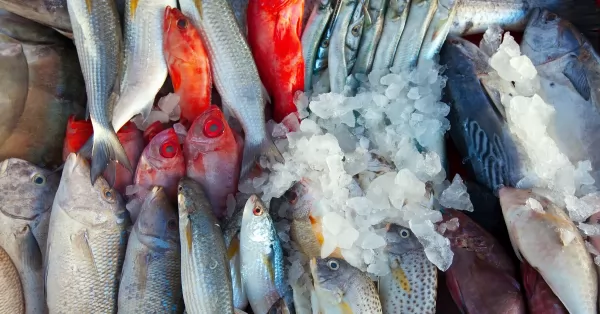 Pescadería móvil y el mercado Arriba Rosario desde hoy, cronograma completo