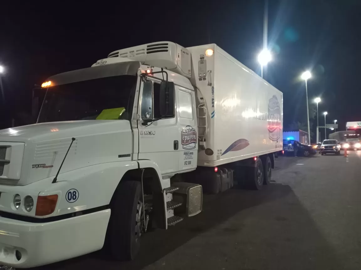 Decomisaron 11 mil kilos de pescado transportados sin autorización en la Autopista Rosario - Santa Fe