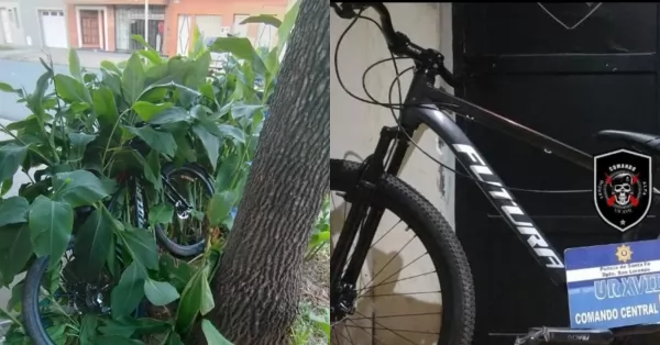 San Lorenzo: Encontraron una bicicleta escondida entre unas plantas