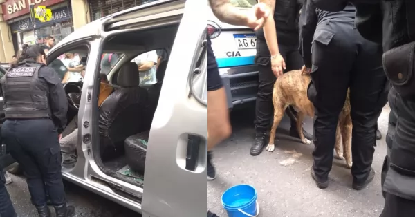 Rosario: Dejó encerrado a su perro en el auto y rompieron los vidrios para rescatarlo 