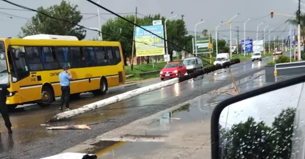 Evacuados, calles anegadas y árboles caídos: consecuencias del fuerte temporal en Capitán Bermúdez  