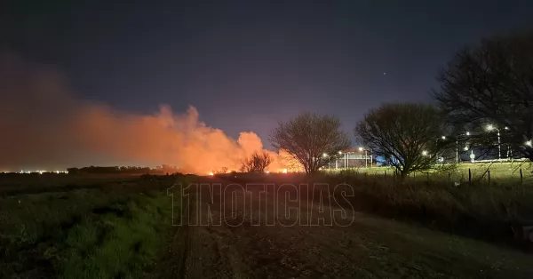 Dos incendios a pocos metros de la Autopista Rosario - Santa Fe en Capitán Bermúdez