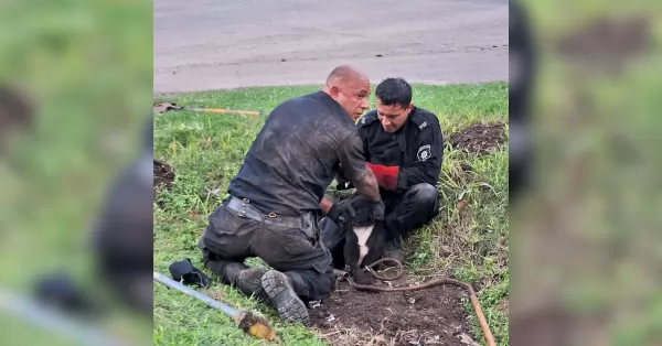 Rescataron a una perra que había quedado atrapada dentro de un caño en una zanja en Funes