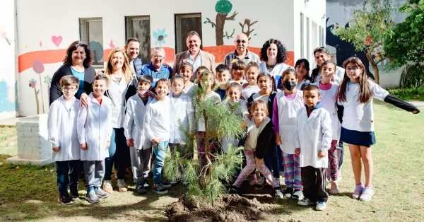 Plantaron nietos del Pino Histórico en dos escuelas primarias de San Lorenzo 
