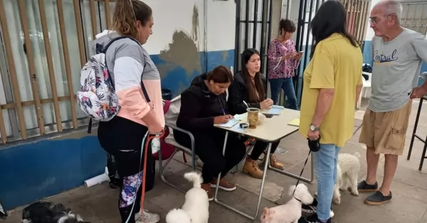 San Lorenzo: comenzó la campaña municipal de vacunación antirrábica que recorrerá todos los barrios