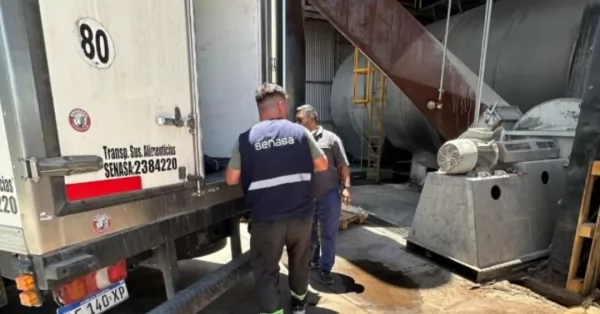 Formosa: Decomisaron 340 kilos de pescado transportados de manera irregular