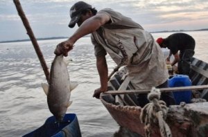 La provincia apeló la veda de pesca dispuesta por la justicia