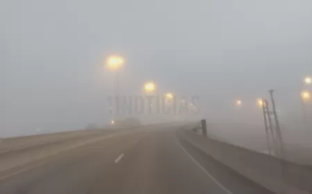 Recomendaciones para la conducción con niebla