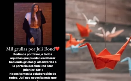 Mil grullas por Julia Bond, víctima del trágico accidente vial en Rosario 