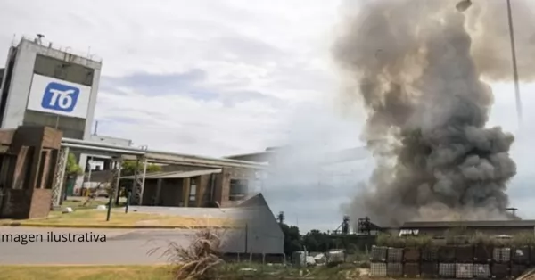 Incendio en Terminal 6: Evacuaron al personal por fuego en la extracción 