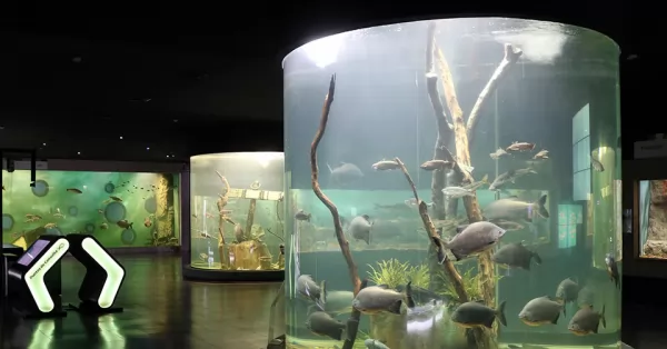 Vacaciones de invierno en el acuario de Rosario