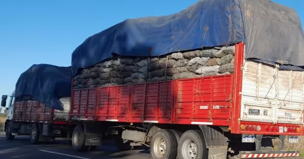 Detectaron a dos camioneros que transportaban ilegalmente 50 mil kilos de leña y carbón