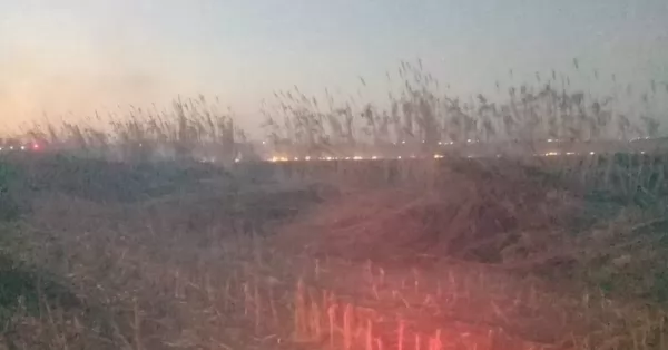Se incendió un campo en los alrededores del “basural de Ricardone”