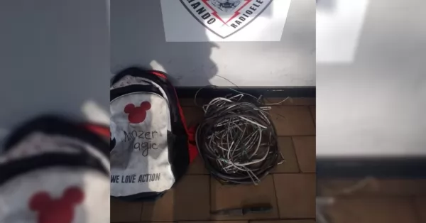 Detuvieron a dos jóvenes en Puerto por robar cables en el frigorífico Mattievich