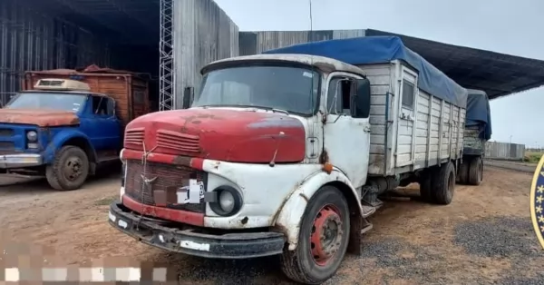 Allanamiento en puerto seco de Serodino: tres detenidos y 45 mil toneladas de cereal incautados