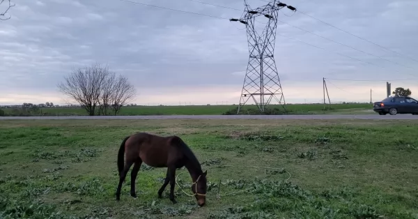 Otro día nublado y con bajas temperaturas en la región