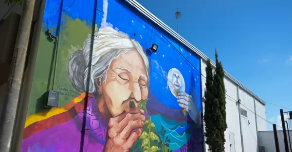 El festival de muralismo le dio color a los espacios públicos de Timbúes