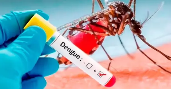 Dos nuevas muertes por dengue en la provincia de Salta