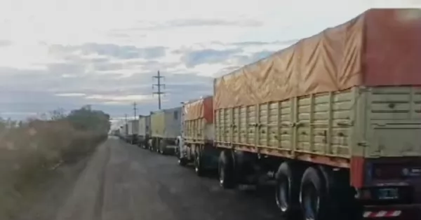 Cosecha gruesa: Demoras en las rutas de la región por gran afluencia de camiones 