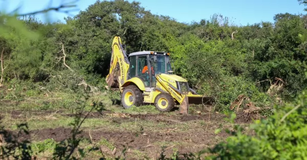 Retomaron las excavaciones en busca de desaparecidos durante la última dictadura en Campo San Pedro