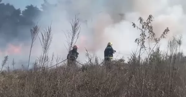 Nuevo incendio en un descampado sanlorencino 