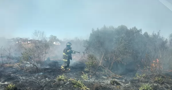 Cuatro incendios de pastizales se registraron este lunes en la región 