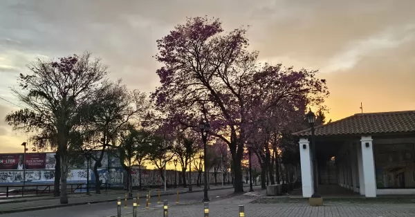 Cielo parcialmente nublado y probabilidad de lluvia para la tarde