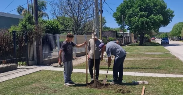 San Jerónimo: Plantará más de 50 árboles en el marco del programa “Vos lo cuidas, nosotros lo plantamos”