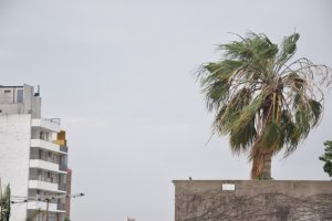 Se renueva el alerta meteorológico por vientos fuertes en el sur de Santa Fe