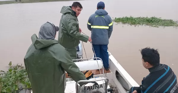 Encontraron dos cuerpos en el río Paraná y uno sería de uno de los pescadores desaparecidos