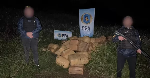 La PFA incautó más de una tonelada de marihuana en Misiones 
