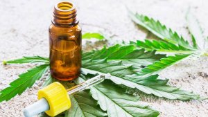 Cannabis medicinal: Autorizaron el cultivo y la venta de aceites en farmacias de todo el país 