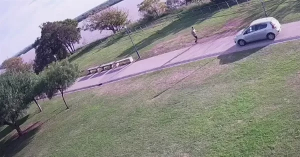 Rosario: Identificaron a la automovilista que circuló en forma temeraria por la costanera central